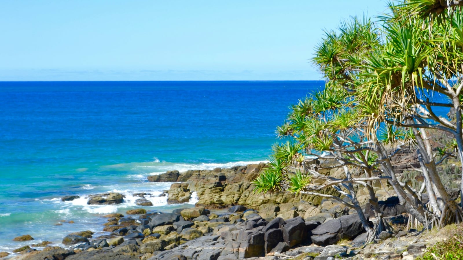 Noosa Travel Guide