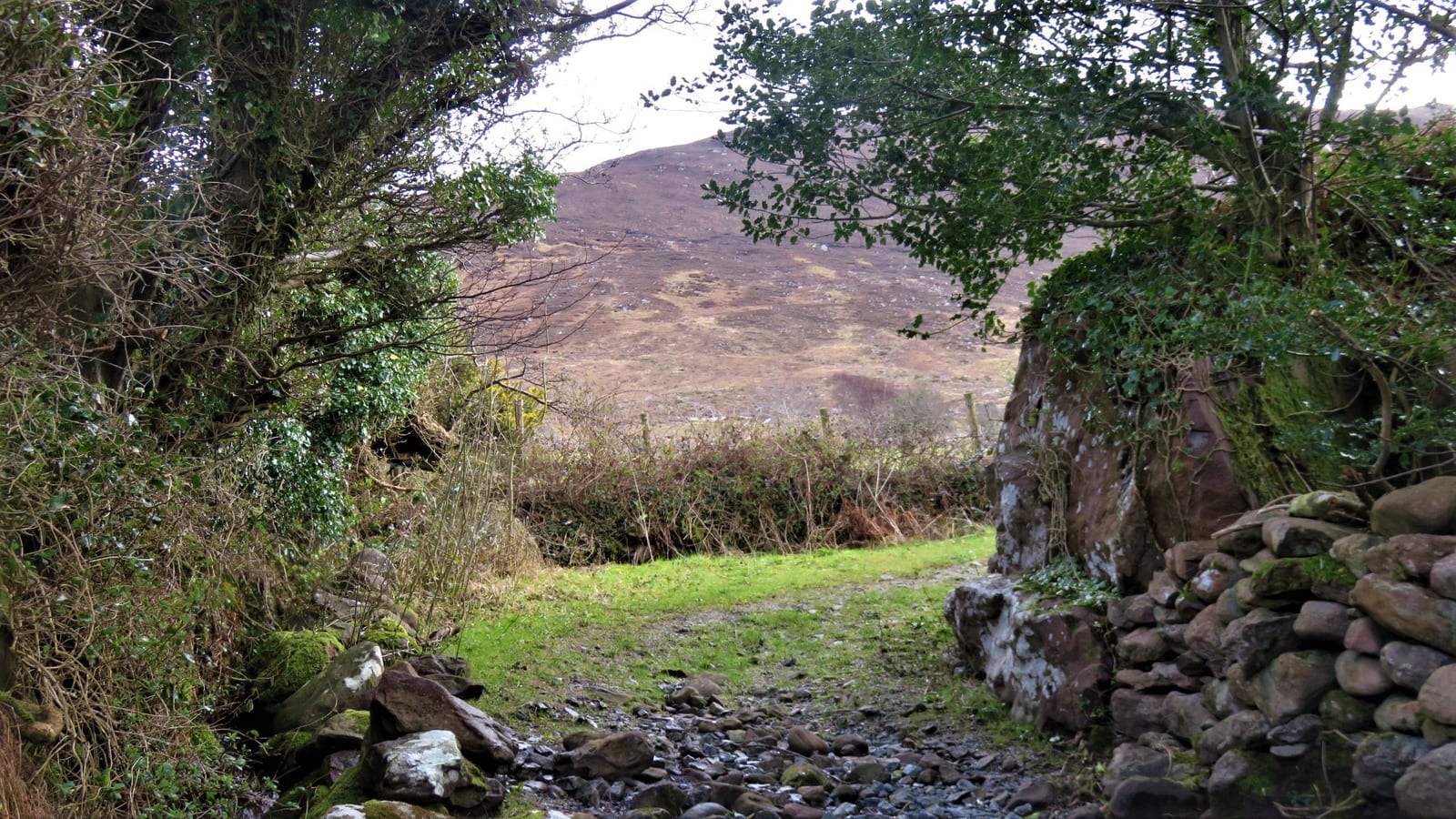 Dingle Halbinsel Guide