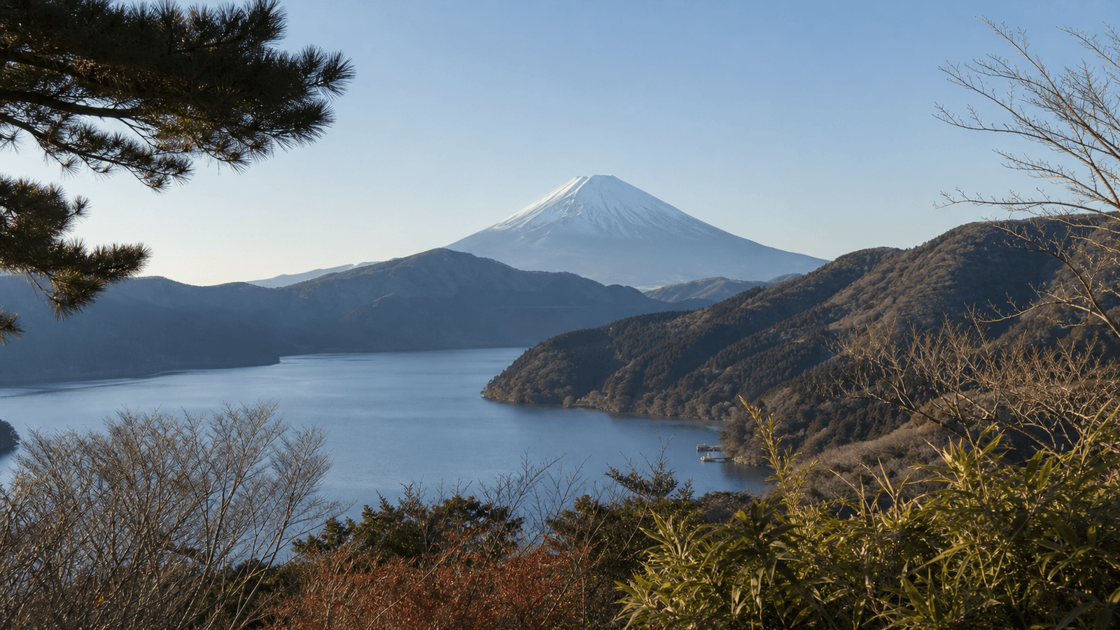Fuji-View-Timing