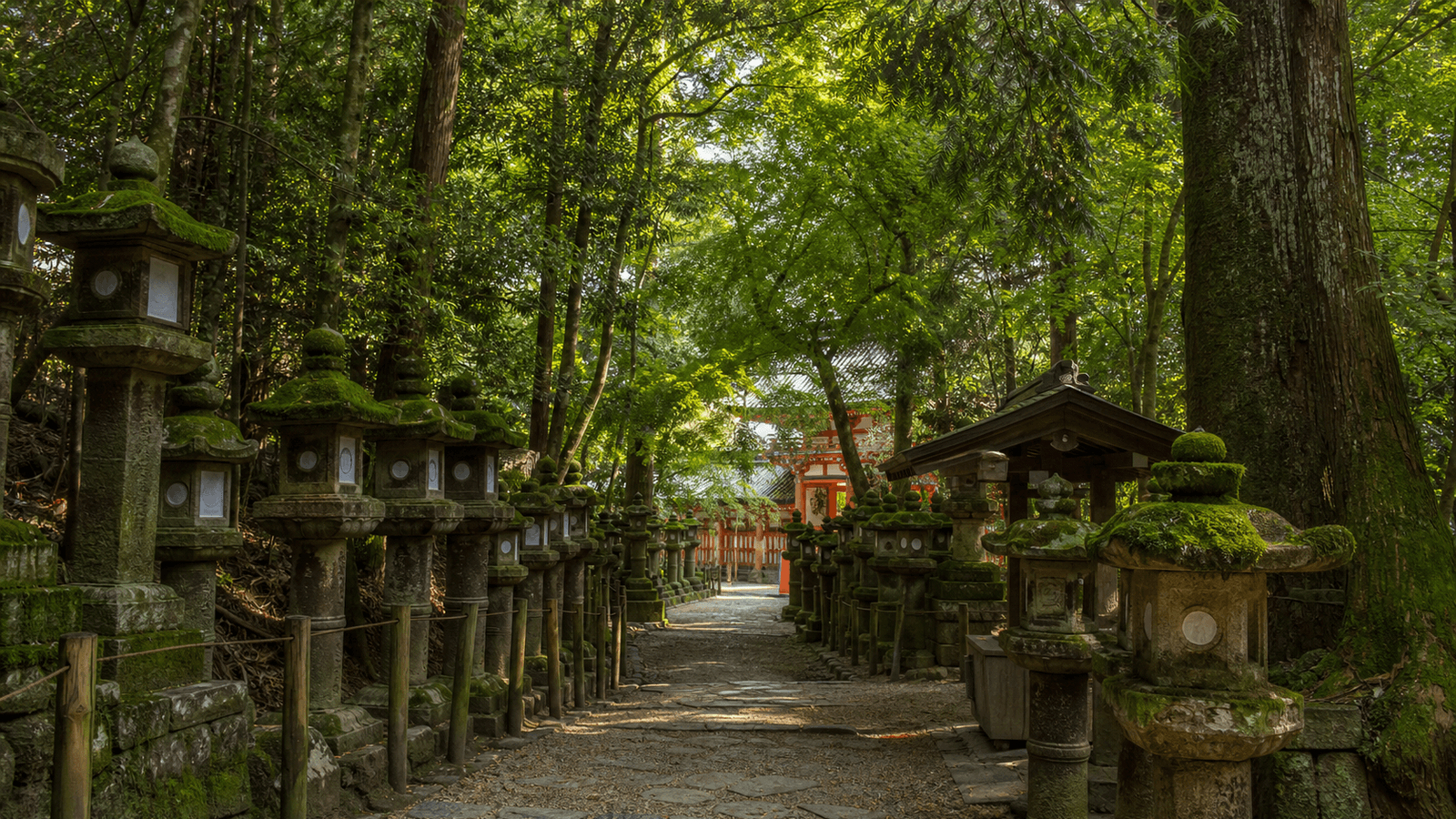 Kasuga-Taisha-Schreinwege