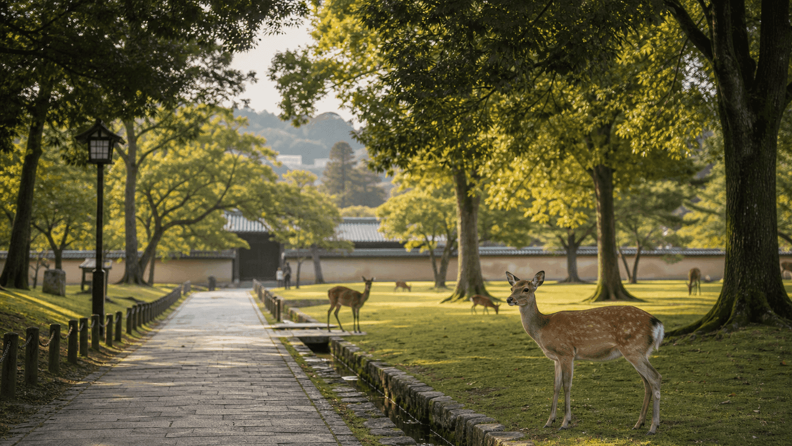 Nara Park und Hirschwege