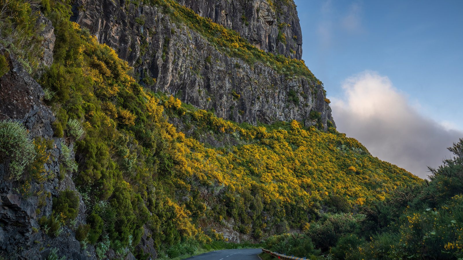 Madeira Roadtrip Guide