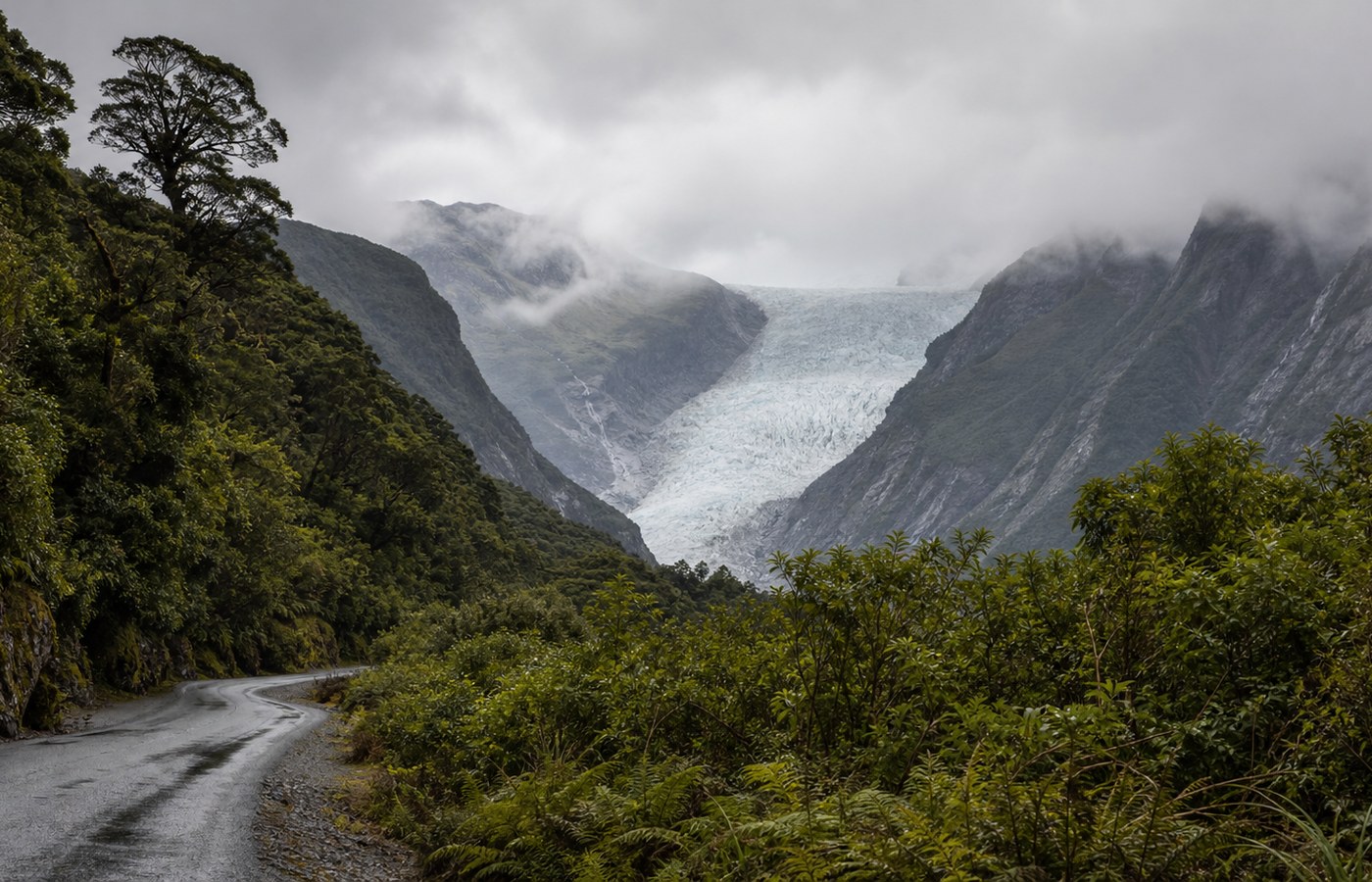 West Coast Glaciers Guide