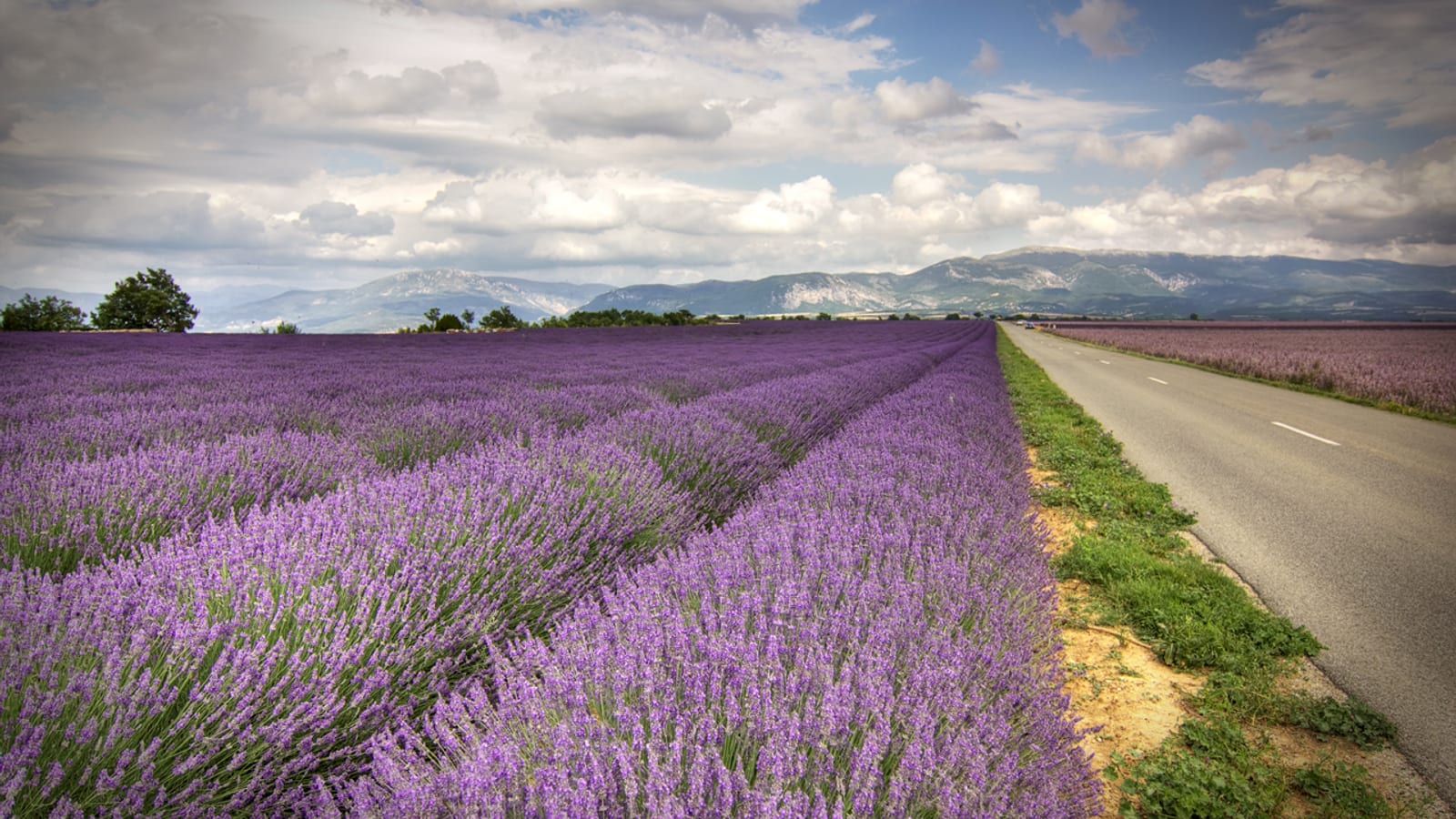 Provence Road Trip Highlights