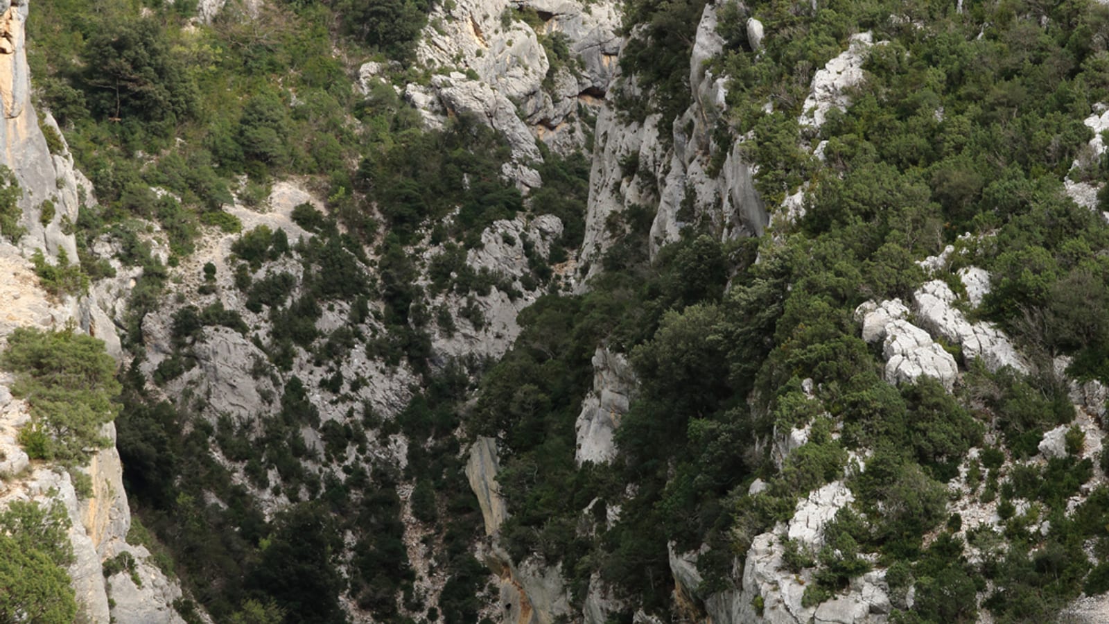 Provence mit Kindern