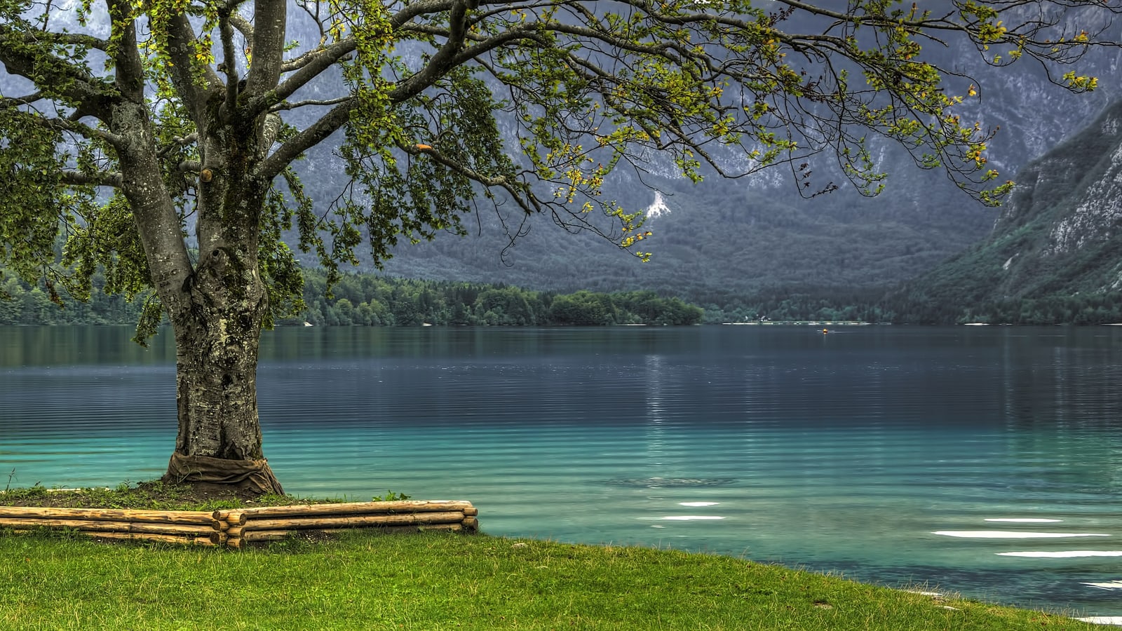 Bohinjer See Slowenien Guide